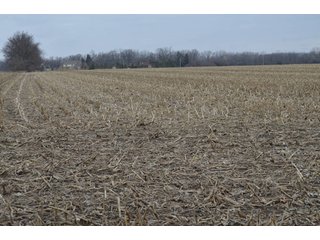 Property photo 26 - 173 +/- Acres Offered in 3 Tracts - Ohio Farmland